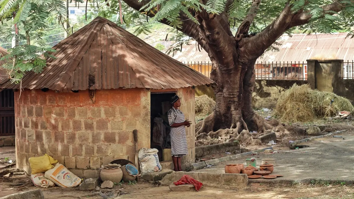 የኮሎምቢያ የChingari ክሪኤተሮችን እንዴት እንማራ?