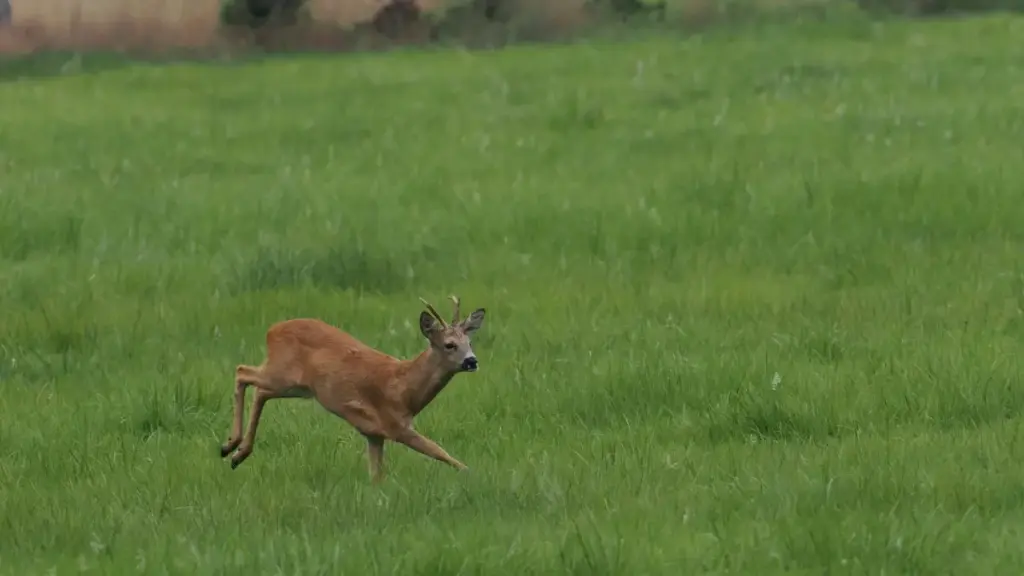 እንዴት ከXiaohongshu ውስጥ የአይስላንድ ፈጣሪዎችን ማግኘት፣ እና በኢትዮጵያ ንግድ ለሚካሄድ የብራንድ ስሜት ማሻሻል የሚረዱ ስርዓቶች፣ የተግባራዊ ምርጫዎችና እርምጃዎች።
