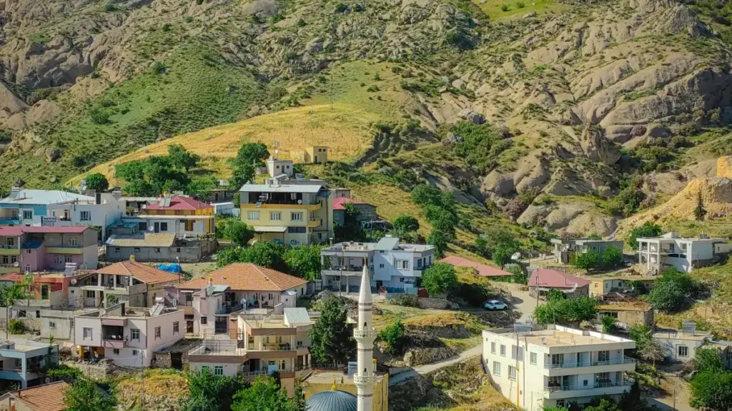 እንዴት Roposo ላይ Algeria ብራንዶችን እሰልካለሁ ለunboxing ቪዲዮ? መንገዶች፣ ስርዓቶች፣ እና አስተዋጽኦ ማስታወቂያዎች በአጭር ቅርጽ።