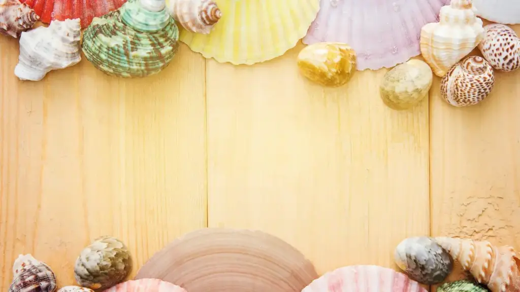 እንዴት ከKuwait ምርቶች Shopee ላይ ደጋፊ ብራንዲድ ትዩቶሪያሎች ለማቀናበር የሚያስፈልጉ የእርስዎ መርምሮች፣ ስታርቴጂዎች፣እና የነገ ምክሮች።