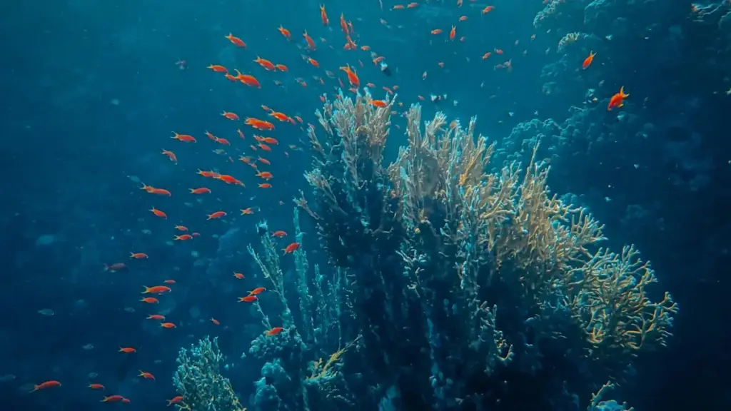 እንዴት ከNetflix ጋር ለMyanmar ብራንዶች ልትደርስ፣ እና እነሱን ለሚዲያ ኪትህ ማስገባት የሚረዱ መንገዶች እና ሕጋዊ ርእሶች።