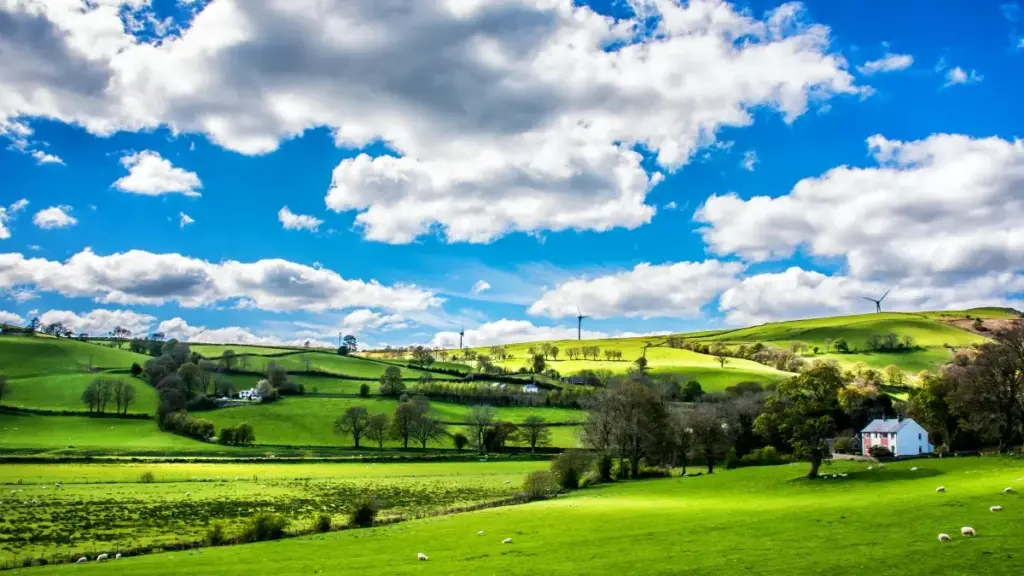 እንዴት ከኢትዮጵያ እየፈጠረን ሳለን በPinterest ላይ Singapore ብራንዶችን እንዴት እንደምንደርስ እና እንዴት ጽኑ የሚሰሩ CTAዎች እንደሚያገኙ ማስተላለፊያ፣ እሴት እና ሙከራዎች ይካተታሉ።