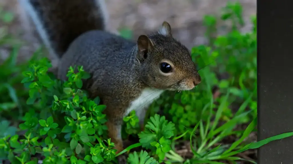 ከCreatorWeek ፕሮግራሞች እና የሚሰጡ የድርጅት ግንኙነቶች መሠረት፣ በኢትዮጵያ አካባቢ ለMongolia Netflix ፈጣሪዎች የፊትነስ ፈተናዎች ለመጀመር የተግባራዊ መንገዶች፣ የፈጠራ ስርአቶችና ስርዓተ-ግንኙነት ምክር.