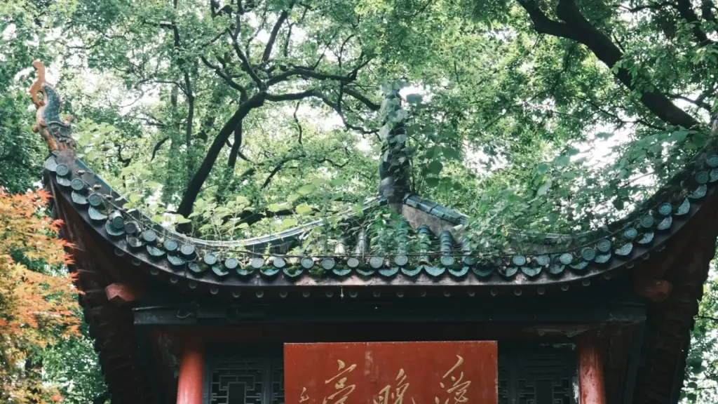 እንዴት በLinkedIn ላይ Slovakia ኩባንያዎችን በሚያስገናኙ ሁኔታ፣ የbefore‑after ለውጦችን እንዴት እንደሚካፈሉ ዝርዝር መመሪያ፣ አስተያየቶችና የእርስዎ ዕቅድ.