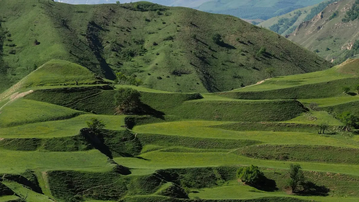 ኢታዊ ባለሙያዎችን የማግኘት መንገዶች — Bolivia Chingari