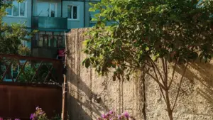 ኢትዮጵያዊ ማስታወቂያ ተቋማት ወደ Kazakhstan SoundCloud ፈጣን እና ውስታዊ ፈለጋ ለማድረግ የሚያስፈልጉ ምክሮች፣ ስትራቴጂዎችና አስቸኳይ እርምጃዎች።