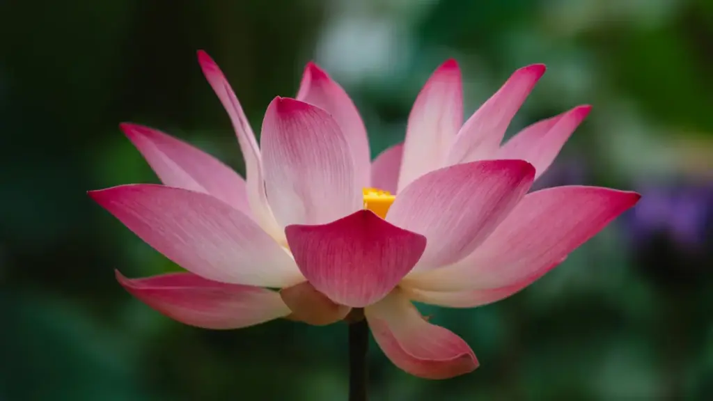 ከሀገር ውስጥ የሚገኙ የMyanmar Viber ክሪየተሮችን ለከተማ መመሪያ ይጋብዙ — እንዴት መፈለግ፣ ማጣሪያዎች፣ እና እርስ በርስ ስምምነት ማዋቀር ይማሩ።