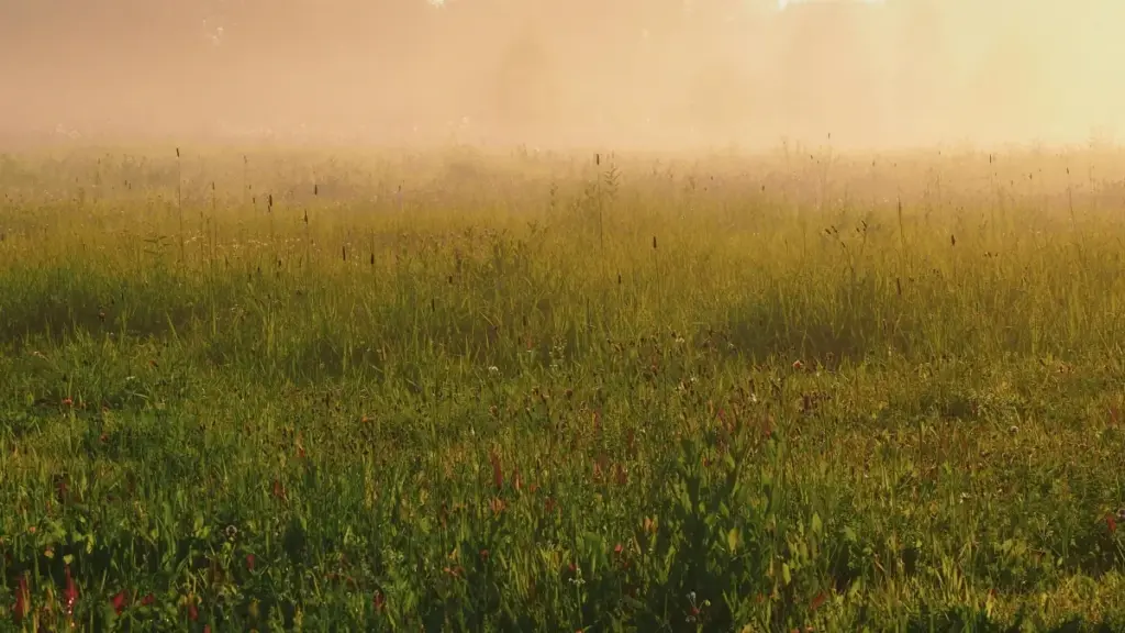 ይህ መታሰቢያ ከXiaohongshuና Dianping የሚገኙ የምርት ስርዓቶችን ተጠቃሚ እና ታማኝ መንገዶች እንዴት ማስተዋወቅ እንደሚቻል ይገልፃል፤ Mongolia ብራንዶችን በXiaohongshu ላይ በማያወቅ ሁኔታ እንዴት እንደምናገናኝ እና ለጨዋታ አቅራቢዎች ምን ስራዎች እንደሚሆኑ ይወስናል።