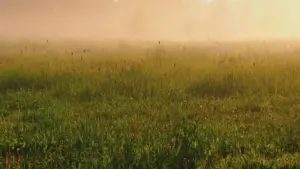 ይህ መታሰቢያ ከXiaohongshuና Dianping የሚገኙ የምርት ስርዓቶችን ተጠቃሚ እና ታማኝ መንገዶች እንዴት ማስተዋወቅ እንደሚቻል ይገልፃል፤ Mongolia ብራንዶችን በXiaohongshu ላይ በማያወቅ ሁኔታ እንዴት እንደምናገናኝ እና ለጨዋታ አቅራቢዎች ምን ስራዎች እንደሚሆኑ ይወስናል።