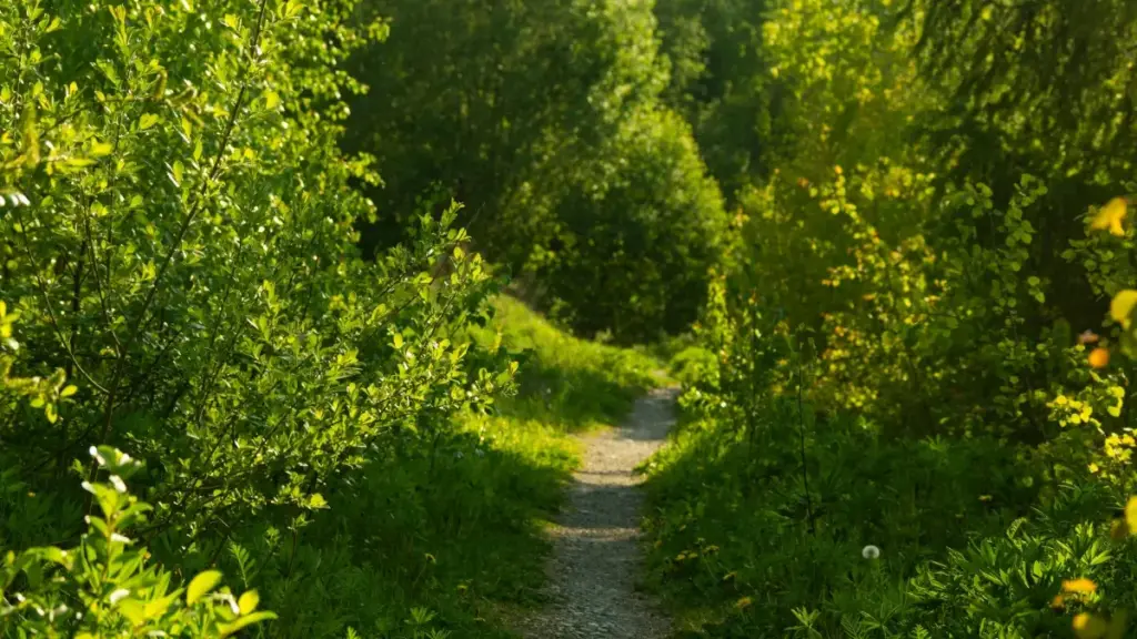 እንባ የሚረጋገጥ ሜዲያ ኪት ለማግኘት፣ Ethiopia ውስጥ ክሪኤተሮች እንዴት Lazada ላይ Norway ብራንዶችን ማድረስ እንደሚችሉ ቀላል ምክሮች፣ ስርዓቶች እና ምርመራዎች።