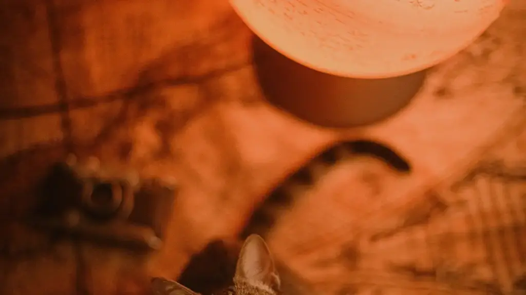 እርስዎ ከኢትዮጵያ የሚሰሩ ክሪኤተሮች ከBangladesh ብራንዶች ጋር በDiscord ማገናኘት፣ ማረጋገጥ እና የሚዲያ ኪትዎን ለማስተካከል እውቀት፣ ስልቶችና ከስርዓቶች የተጠናቀቀ መመሪያ።