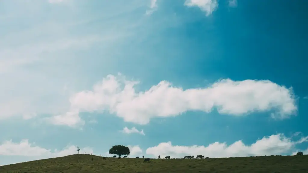 እባክህ እንዴት የግብጽ Discord ፈጣሪዎችን ለምርመራና የፕሮዳክት ሙከራ ቀላል እና ፍጥነታዊ ማግኘት ይሁን። እንደኛ በBaoLiba ላይ ስር ምክሮች፣ ምርመራ ስርዓቶችና መነሻ ርዕሶች።