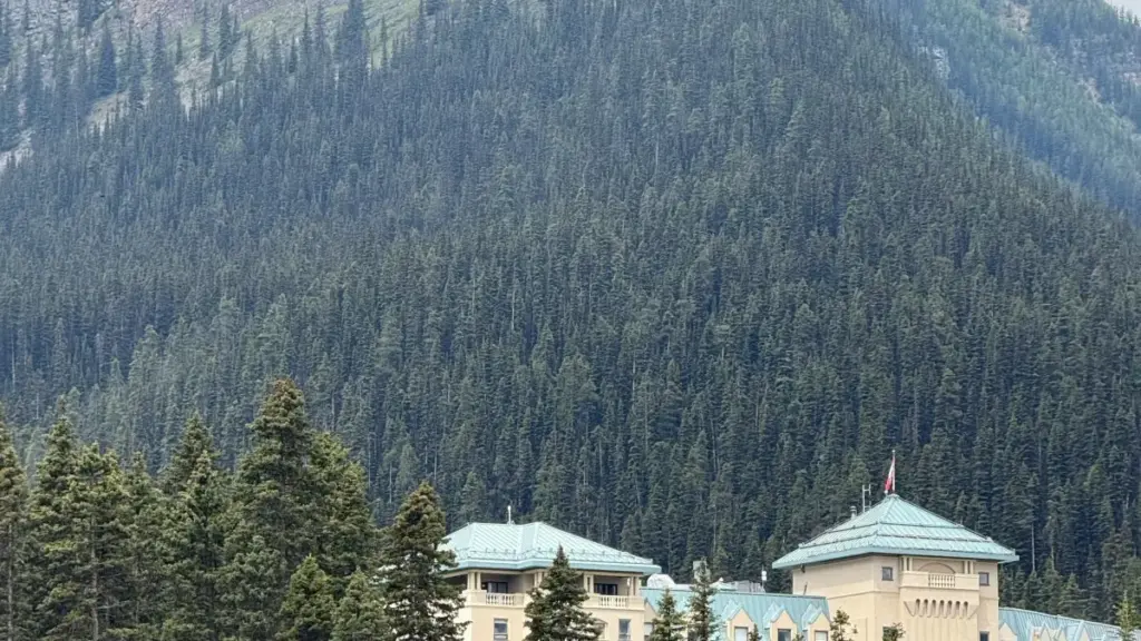 ኢትዮጵያ ፈጣን የሚሆኑ የTakatak ፈለጎች፣ እንዴት ግሪክ ብራንዶችን ለምርመራ እና ለትርጉም ማግኘት እንደሚቻል — ህብረታዊ ሞያዊ ምክር፣ ስርዓቶች፣ እና ምርመራ.