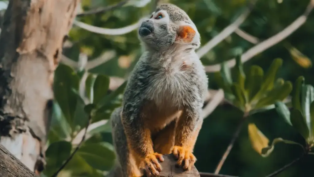 ኢትዮጵያ እና አለም ዙሪያ ፈጣን እና ሀሳብ ያለው መመኪያ — HBO Max ላይ Mongolia ብራንዶችን ለgiveaway እንዴት መያዝ እና ምን ማድረግ እንደሚገባ።