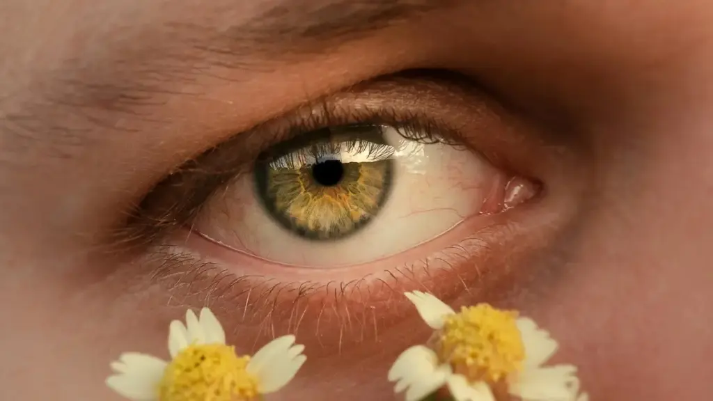 እንዴት ቨንዙዌላ Viber ክሪየተሮችን በኢትዮጵያ ማስታወቂያ ስራ ለማግኘትና የተሳተፉ ተከታዮችን ወደ ሊድ ለማስቀላቀል የሚረዱ ቀላል የስራ እርምጃዎች፣ መረጃዎች እና የባለሞያ አስተያየቶች።