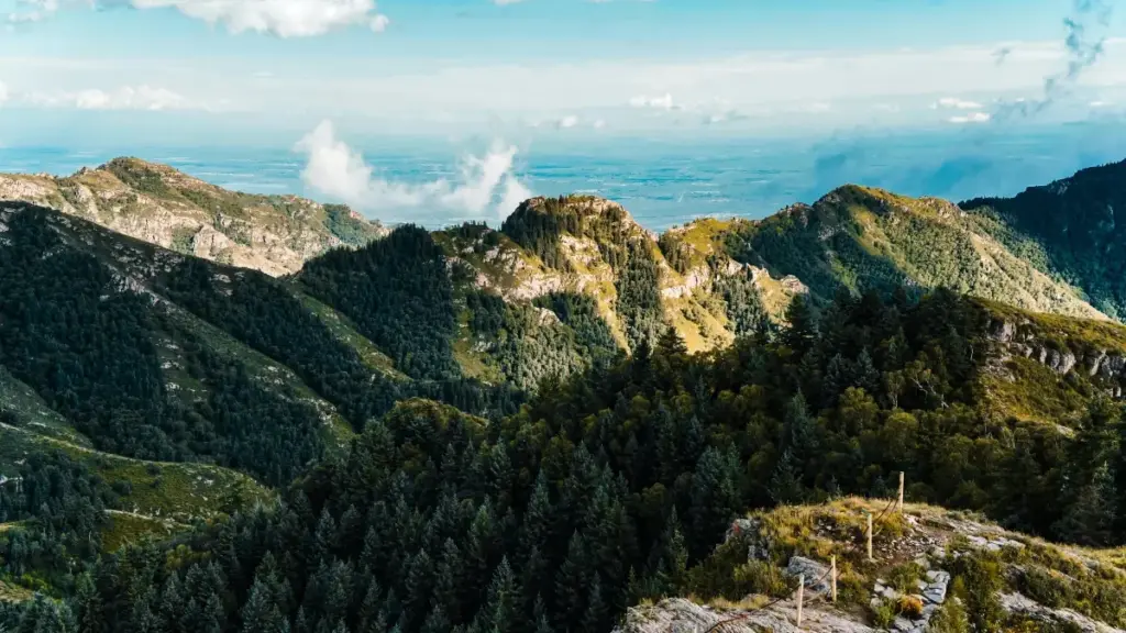 ኢትዮጵያ ማርኬተር እና ምርት ባለሞያዎች ለArmenia Threads ክሪየተሮች በላይቭ ስትሪም የባህርይ መልዕክት ማዋል የሚፈልጉት ዝርዝር መመሪያ፣ መረጃ እና ስራ ዘዴዎች።