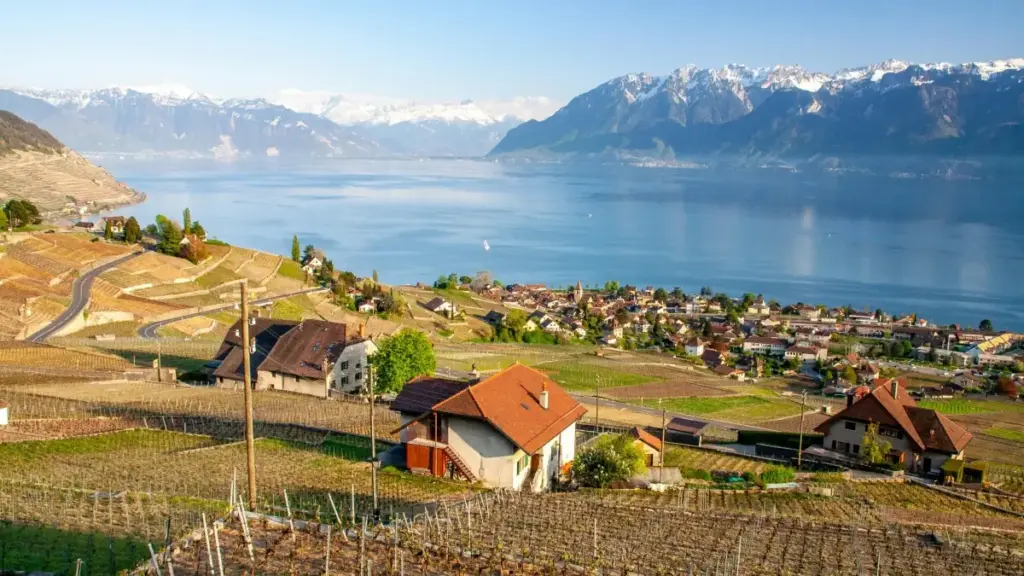 ከኢትዮጵያ አርታኢዎች ጋር ለአዲስ የዘፈን ፕሮሞሽን ፕሮጀክቶች የሳይፕረስ የTwitter ክሪኤተሮችን እንዴት እንደሚፈልጉ በርካታ ምክር፣ የገጽታ ትንበያዎች፣ እና ምርጫ ስርዓቶች ይወሰዳሉ።