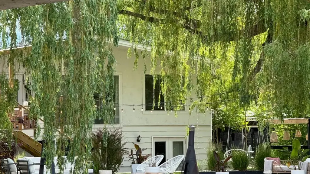 እንዴት Paraguay Moj ፈጣሪዎችን ማፈልግ፣ ማመላለስና UGC ካምፔይኖችን እንዴት እንደሚጀምሩ — አማርኛ መመሪያ፣ ከ2026 ውስጥ የተለመዱ ፈጣሪ ሞዴሎችና እርምጃዎች።