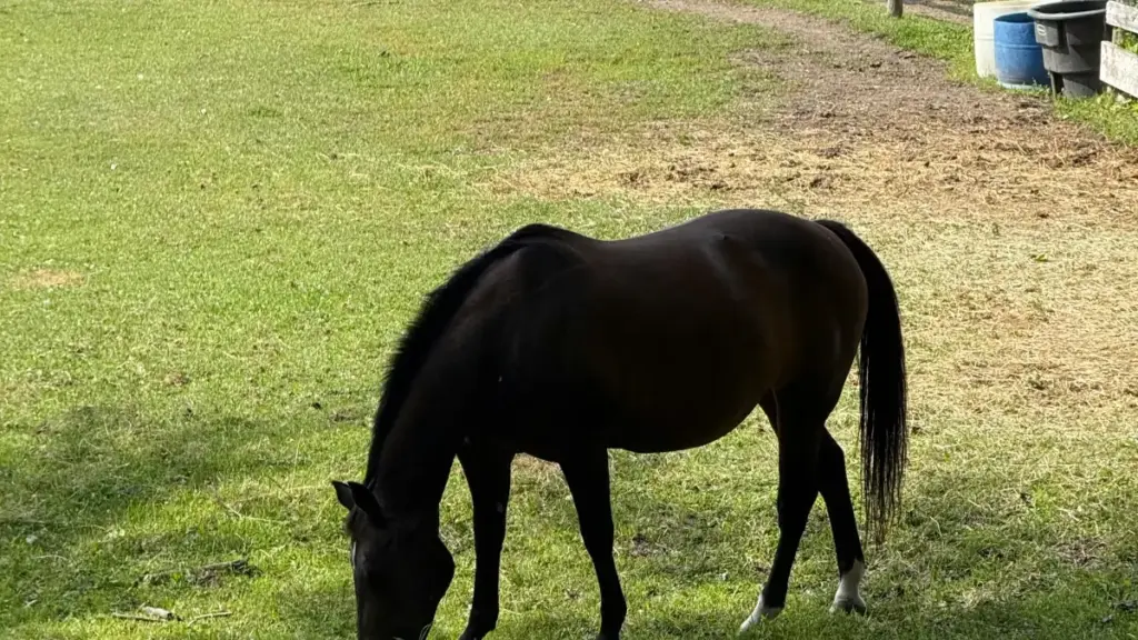 ከኢትዮጵያ የሚሰሩ ፈጣና ፈጣሪዎች፣ Telegram ላይ አርጀንቲና ምርቶችን ለGame Key ግሪቫዌይ እንዴት ይደርሳሉ፣ እና የቅድሚያ ስርዓቶች፣ ሕጋዊ እና ፕራክቲካል ምክሮች።