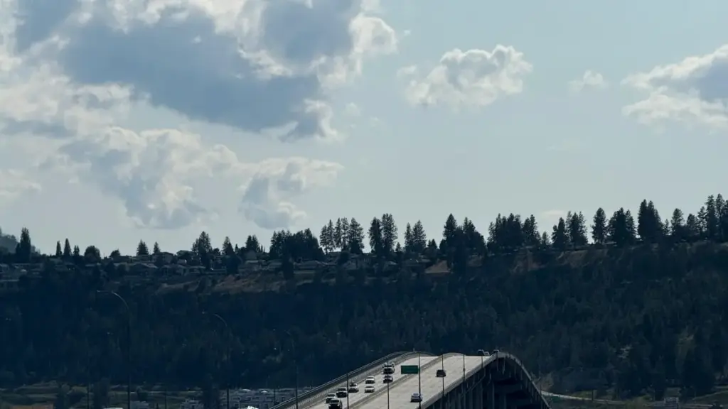 እንዴት እንደሚፈለጉ የዩክሬን Shopee ፍርዶችን ለኢትዮጵያ አቅራቢዎች በፍጥነት እና በትክክለኛ ዘዴ ማግኘት — ምርጫዎች፣ መንገዶች፣ ስርዓቶች እና ማስተካከያዎች።