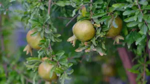 ለmicro influencer የምርት ሙከራ ኢኳዶር Douyin ክሬይተሮችን ለመፈለግ የሚሰሩ ተግባራዊ መንገዶች፣ ማጣራት እና ምርት ጉዞ እዚህ አሉ።