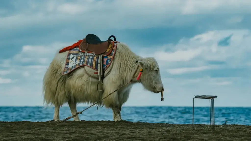 በBilibili ላይ የSerbia ብራንዶችን ለflat-fee ውሎች መድረስ የሚሰራ መንገድ፣ የኢሜይል መልዕክት፣ የpitch ስትራቴጂ እና የ2026 ገበያ ምልክቶች።