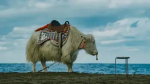 በBilibili ላይ የSerbia ብራንዶችን ለflat-fee ውሎች መድረስ የሚሰራ መንገድ፣ የኢሜይል መልዕክት፣ የpitch ስትራቴጂ እና የ2026 ገበያ ምልክቶች።