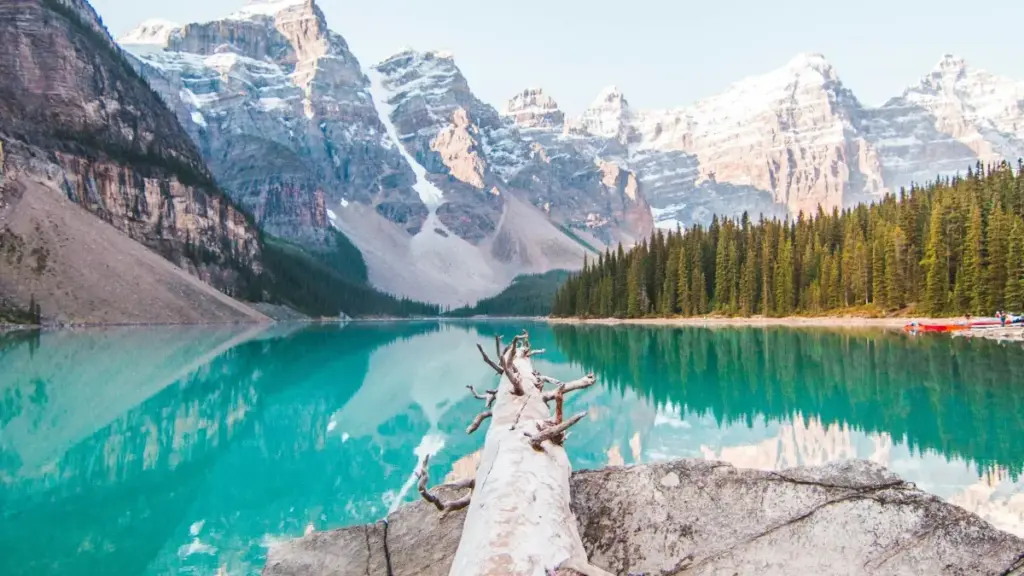 በደቡብ አፍሪካ የFacebook ፈጣሪዎችን በቀጥታ እና በfixed-fee ለማግኘት የሚሰሩ ብልሃቶች፣ የስርዓት እቅድ እና የገበያ ምልክቶች በቀላሉ።