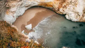 ታንዛኒያ ብራንዶችን Discord ላይ እንዴት እንደሚደርሱ፣ wardrobe haul ቪዲዮ ለመስጠት ምን ይሰራ እና ምን አይሰራ በቀጥታ ተመልከት።